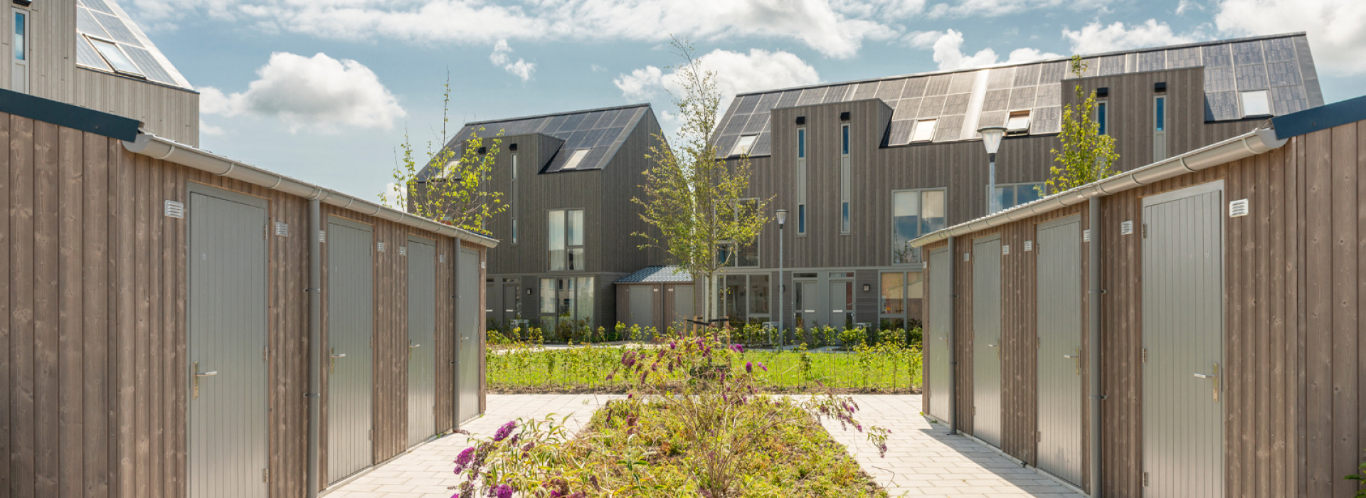 TaloWood semi-transparant project